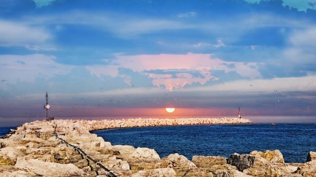 星空体育官网田径训练器材收纳车轮